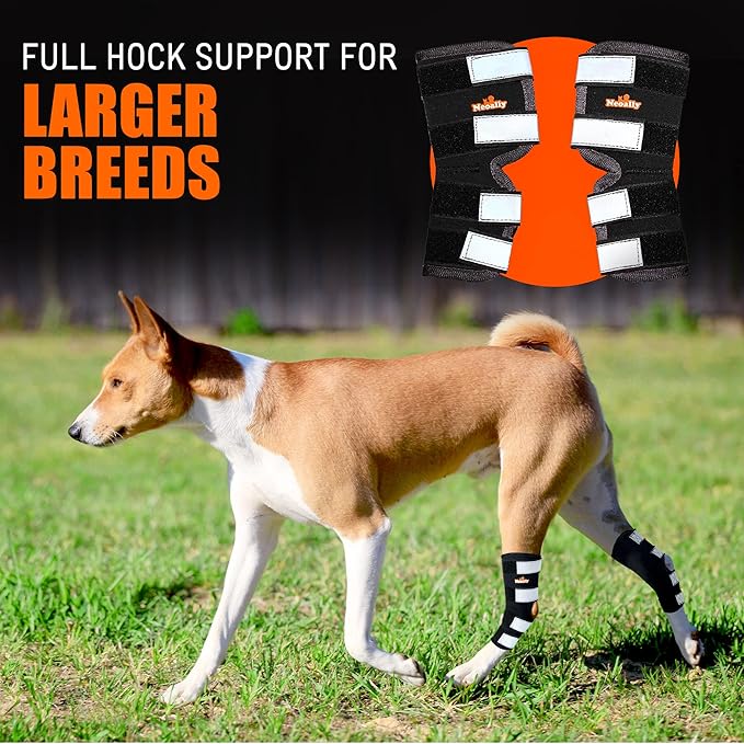 NeoAlly® - Rear Leg Hock Brace, Dog Leg Brace for Rear Leg, Hock & Ankle Support for Large Dogs, Dog Brace for Torn Acl and Ccl, Long Version, Small, 1 Pair