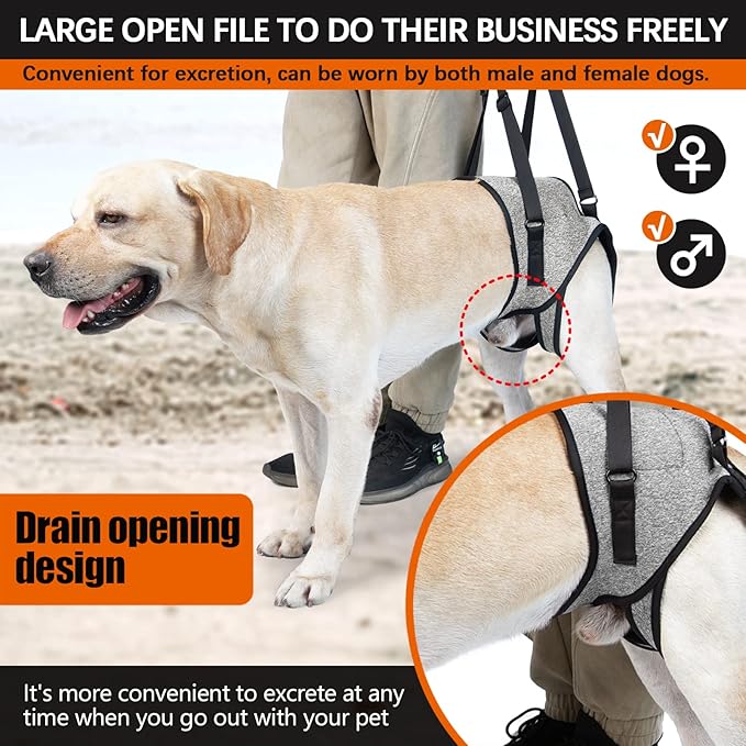 ROZKITCH Dog Lift Harness, Pet Rear Support Aid Veterinarian Approved Sling for Old K9 Help with Poor Stability, Back Leg Hip Disabled Joint Injury Elderly Arthritis ACL Rehabilitation Rehab Grey XL