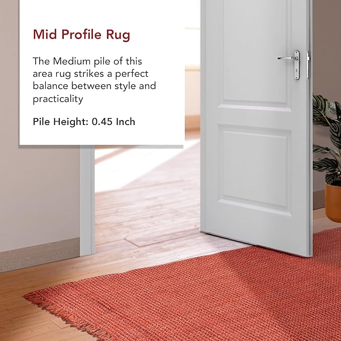 nuLOOM 4x6 Daniela Jute Tassel Hand Woven Area Rug, Brick, Solid Chunky Farmhouse Design, Natural Fiber, For Bedroom, Dining Room, Living Room, Hallway, Office, Entryway
