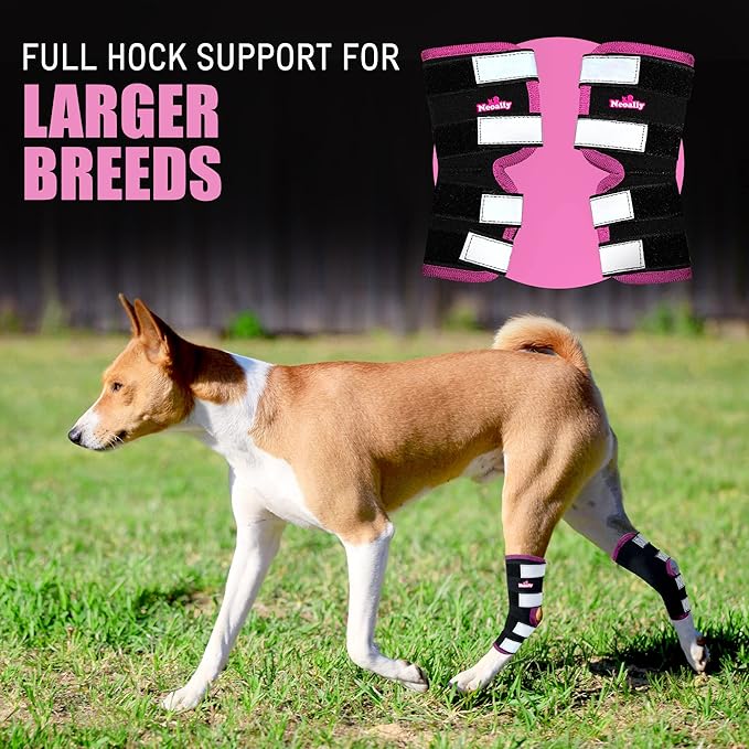 NeoAlly Dog Back Leg Braces [Long Version] Canine Hind Hock Sleeves with Safety Reflective Straps for Injury and Sprain Protection, Wound Healing and Loss of Stability from Arthritis (Pink XS Pair)