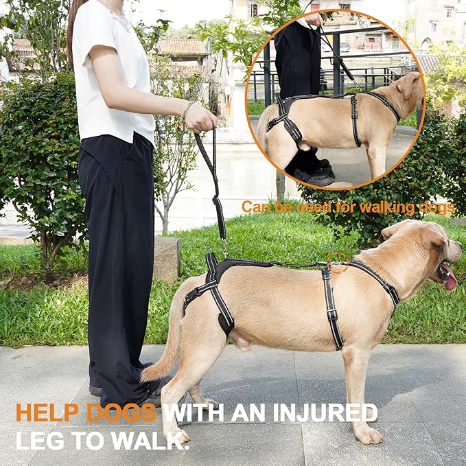 COODEO Professional Dog Sling for Hind Leg Support - Aid for Post-ACL/TPLO Surgery & Senior Dogs, Secure,Breathable & Machine-Washable with Reflective Edging for Safe Walks (Black, XL)
