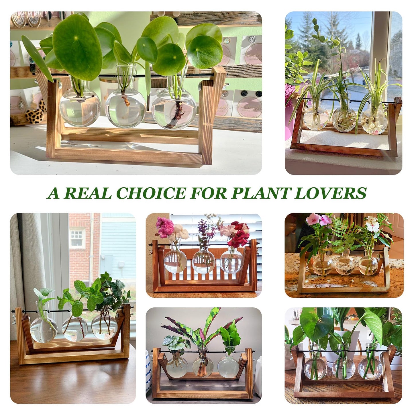 Renmxj Plant Propagation Station, Plant Terrarium with Wooden Stand