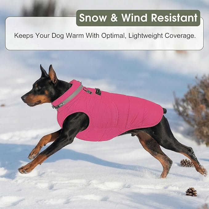 SAWMONG Dog Coat, Warm Dog Winter Coat, Waterproof Fleece Jacket, Cold Weather Dogs Jacket (XS,Rosered)