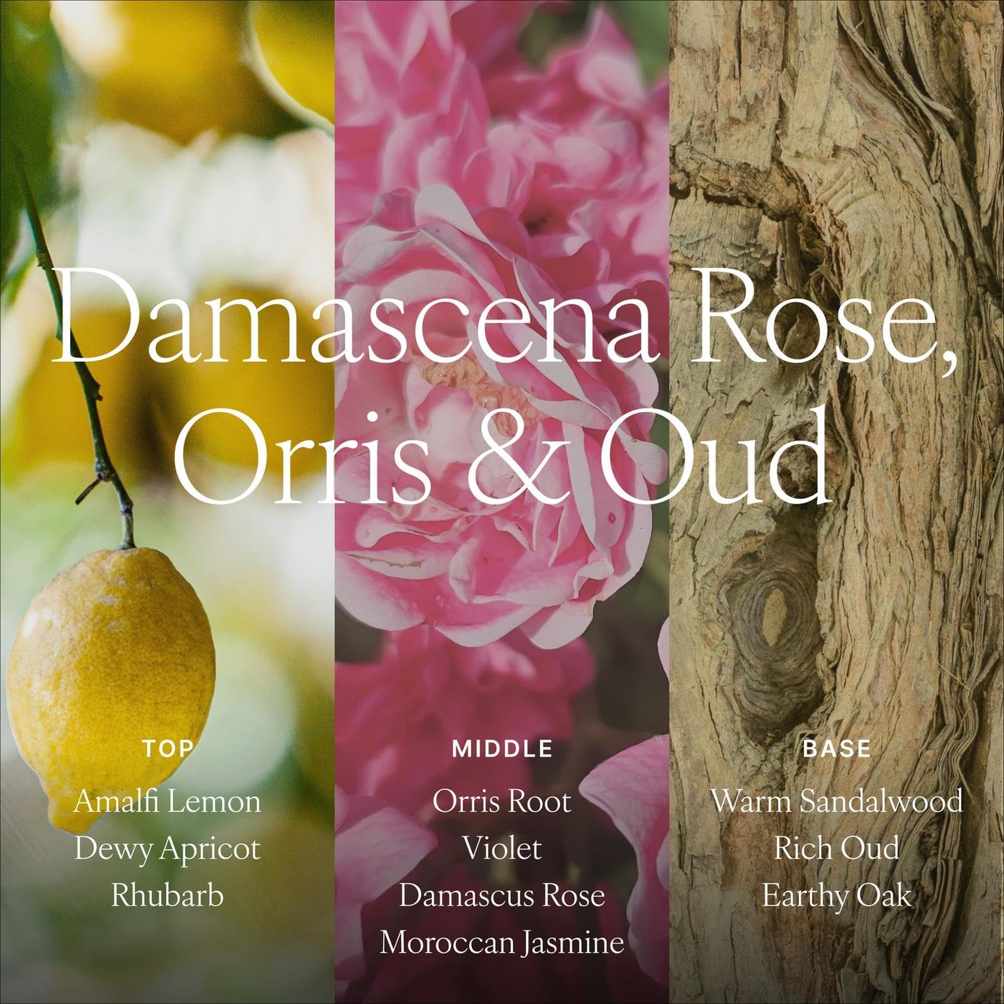 Antica Farmacista Home Ambiance Diffuser - Long-Lasting Reed Scent Diffuser - Luxury Room Freshener Gift - Damascena Rose, Orris & Oud, 8.45 fl oz