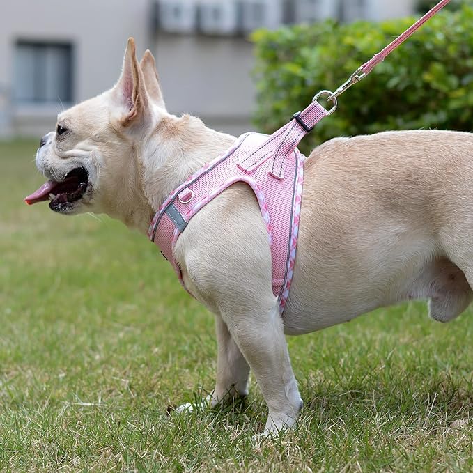 Mercano Soft Mesh Dog Harness and Leash Set, No-Chock Step-in Reflective Breathable Lightweight Easy Walk Vest Harnesses with Safety Buckle for Small Dogs, Cats (Pink, M)