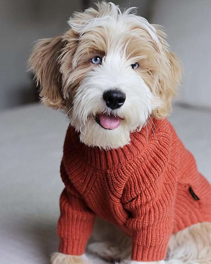 Fitwarm Thermal Knitted Dog Sweater Doggy Winter Coat Pet Clothes Doggie Turtleneck Jacket Puppy Outfits Cat Sweatsuit Red Small