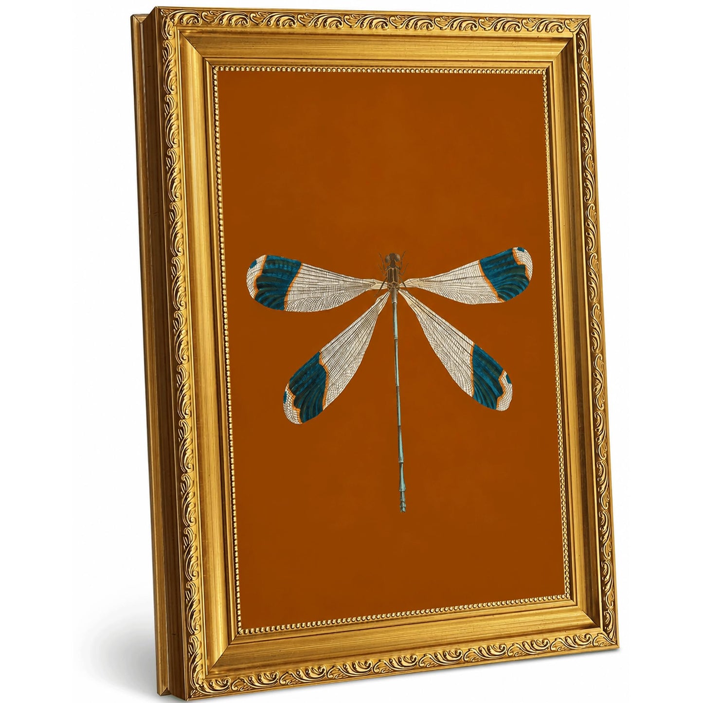 Gold Framed Dragonfly Wall Art, Vintage Insect Print