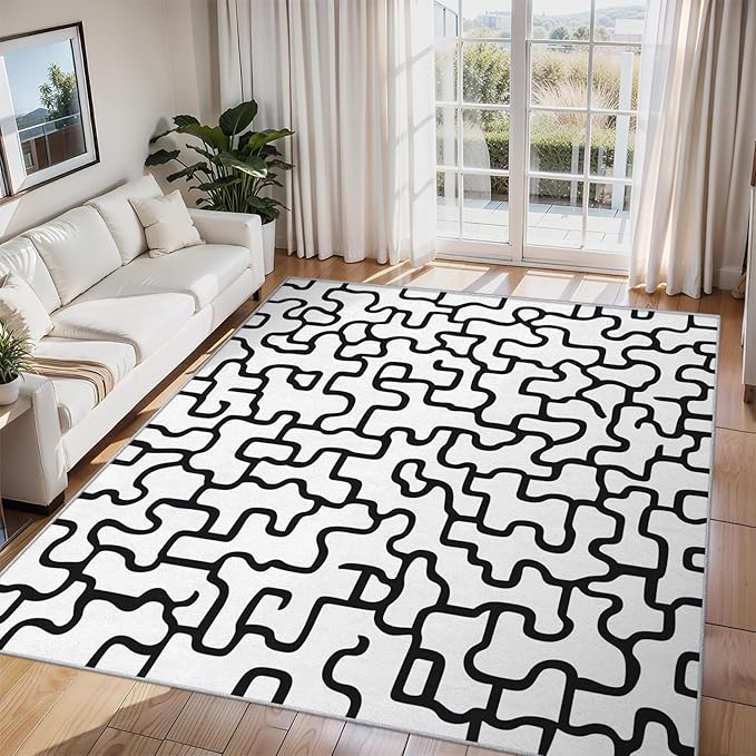 Abstract Geometric Rugs for Home Decor, 5x8 ft, Black and White Labyrinth Area Rugs for Living Room, Soft Non Slip Washable Modern Abstract Line Carpet Bedroom Decorations Dt-Ghf-31