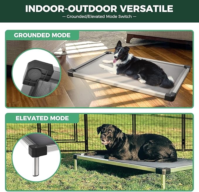 FXW TitanNest Chew-Proof Elevated Dog Bed, Raised Cot for Indoor/Outdoor/Camping Use, Durable & Washable Padded Pet Bed for Toy Dogs, 23.0" L x 17.0" W x 4.1" H, Gray