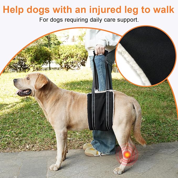COODEO Adjustable Comfortable Dog Sling with Handle Hind Leg Support Soft Lift Support and Rehab Harness for Weak Rear Legs,Helps Senior, Injured, Disabled and After ACL Surgery Dogs Large (Black, L)