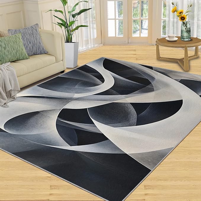 Abstract Lines Area Rug 6x9 Washable Rug Geometric Stripes Rugs for Living Room Minimalism Non Slip Carpet Floral Print Mat Bedroom Bathroom