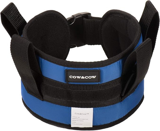 COW&COW Padded Gait Belt with 4 Handles and Quick Release Buckle 5.5 inchs(Blue, S/24inches-30inches)