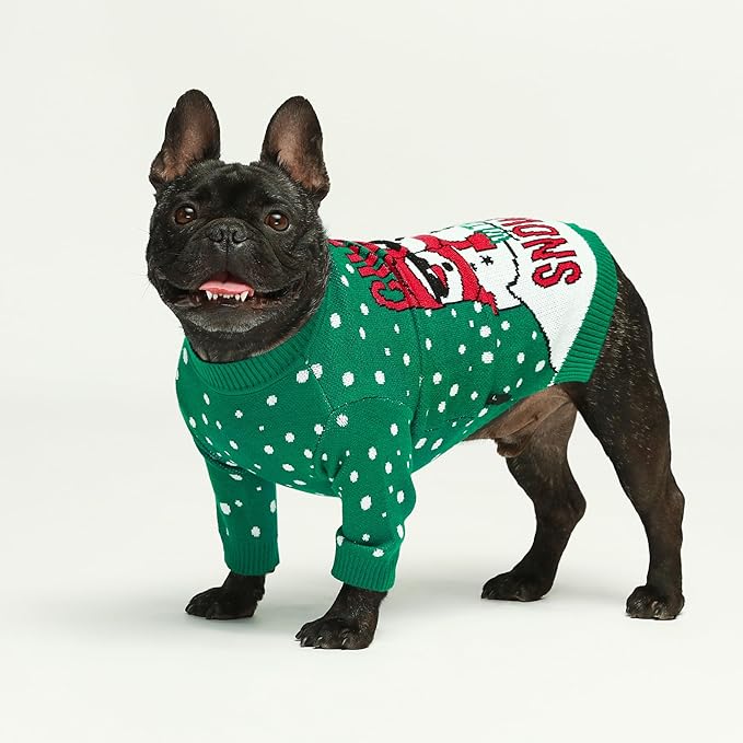Fitwarm Chillin with My Snowmies Dog Ugly Christmas Sweater, Winter Dog Clothes for Small Dogs Girl Boy, Pet Holiday Sweatshirt, Xmas Snowman Outfit, Green, Red, White, XS