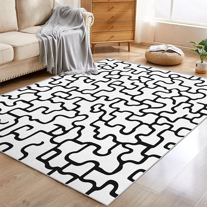 Abstract Geometric Rugs for Entryway, 2x3 ft, Black White Labyrinth Area Rugs for Bedroom Kitchen Entrance, Soft Non Slip Washable Modern Abstract Indoor Door Mat Home Decorations Dt-Ghf-31