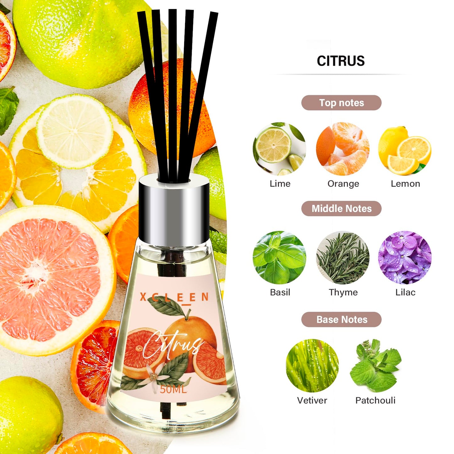 Xcleen Reed Diffuser of 3 Pack, Escape/Citrus/Sandalwood, Scented Diffuser with 15 Fiber Sticks, Home Fragrance Oil Diffuser, Air Freshener for Bathroom & Bedroom, Each 1.7Fl Oz, Total 5.1Oz