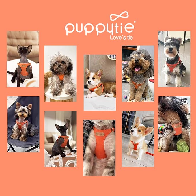Puppytie No Pull XXS Puppy Harness with Multifunction Dog Leash,Soft Adjustable No Choke Escape Proof Pet Harness Vest,Orange,XXS