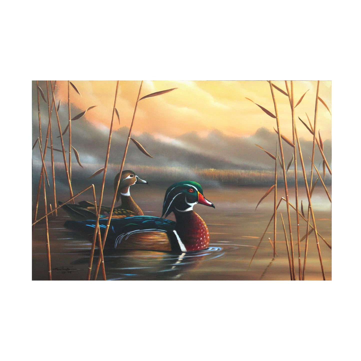 Geno Peoples 'Wood Ducks' Canvas Art