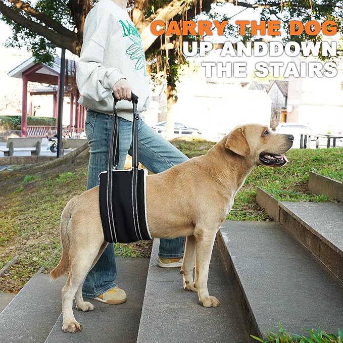 COODEO Adjustable Comfortable Dog Sling with Handle Hind Leg Support Soft Lift Support and Rehab Harness for Weak Rear Legs,Helps Senior, Injured, Disabled and After ACL Surgery Dogs Large (Black, M)