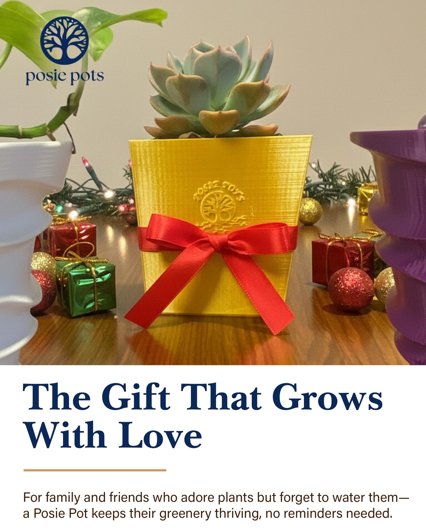 POSIE3DPRINTS Posie Pot Medium Twisted Square - Self Watering Planter 5x5 Inch - Indoor Plant Pot with 30 Day Reservoir - 3D Printed Bioplastic - No Guilt Plant Care - Made in USA, Gold