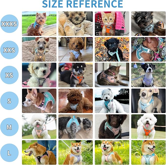 AIITLE XXS Dog Harness & Leash Set - Breathable Reflective No-Choke Small Dog Harness for Teacup Puppies, Indoor/Outdoor Use - Boston Terrier, Maltese, Chihuahua (Orange, XXS)