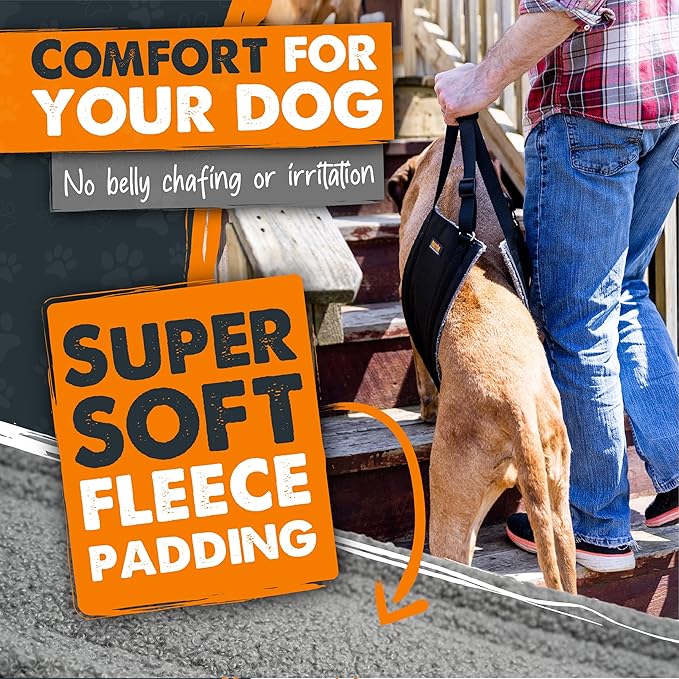 Mighty Paw Dog Lift Harness - 20-60 lbs Dog Hip and Hind Leg Support Sling - Comfortable Assistance for Elderly or Injured Pets with Hip and ACL Brace - Back Support Harness Carrying Sling - Medium
