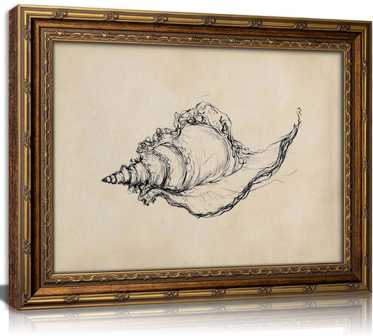 Gold Framed Vintage Canvas Wall Art Seashell Sketch Minimalist Painting Picture Wall Decor Trendy Beach Poster Print Artwork for Living room Bedroom Bathroom Home Decoration