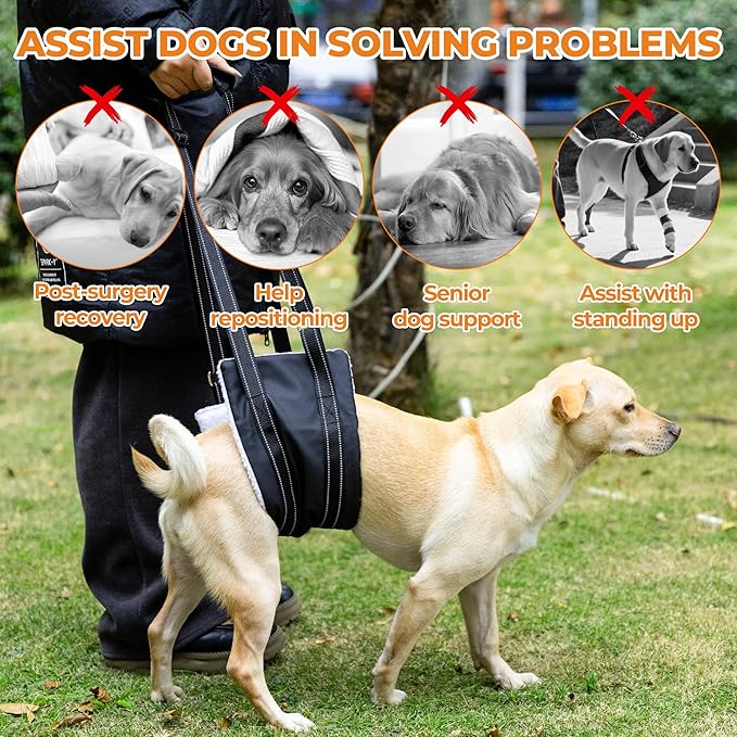 Dog Lift Harness, Adjustable Comfortable Dog Sling with Handle for Large Dog Knee Brace for Torn ACL Hind Leg, Weak Rear Legs, Helps Senior, Injured, Disabled,L